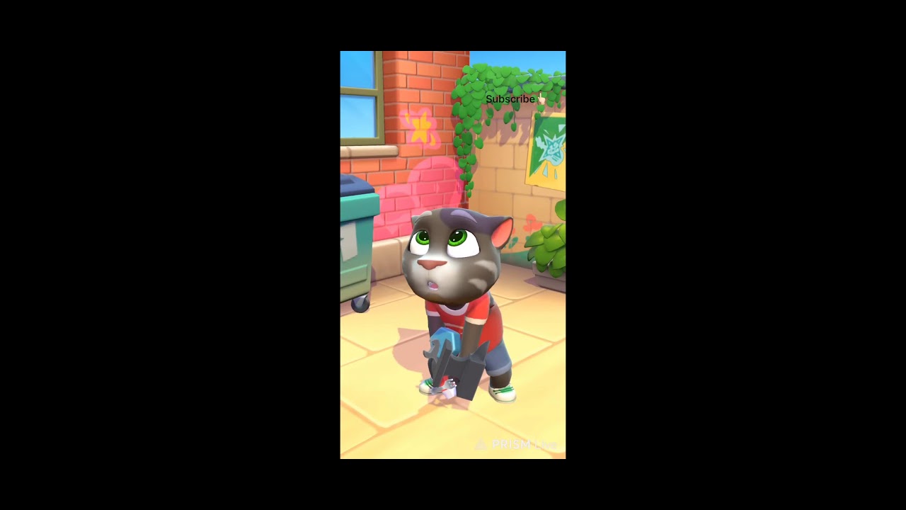 My talking tom live | my talking tom with friends