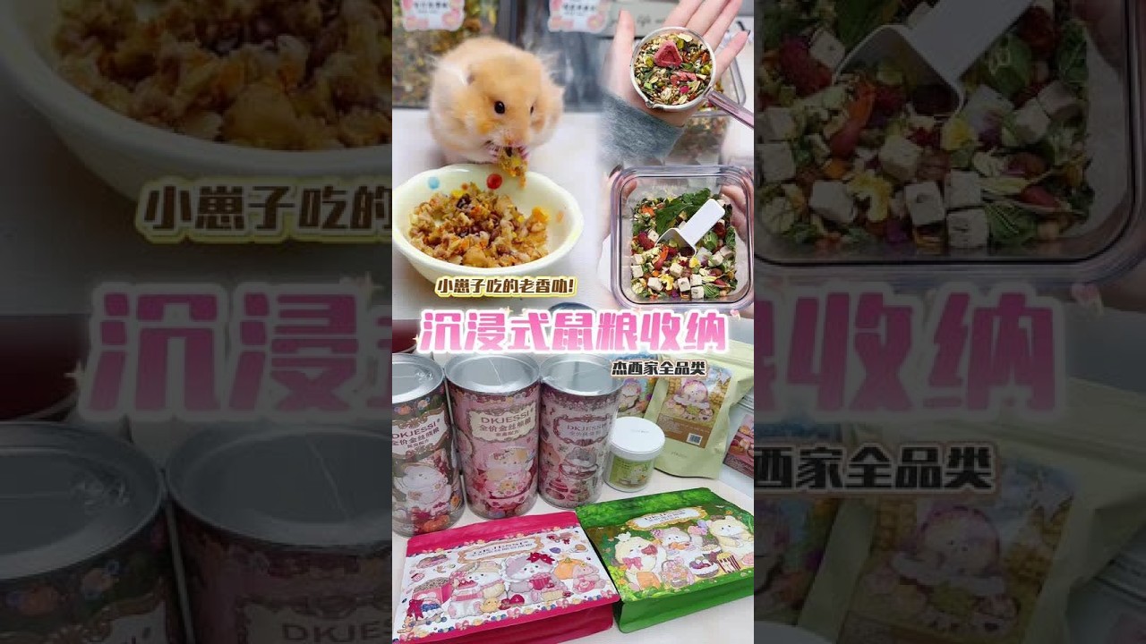 沉浸式收纳｜一口气看完杰希全品类！#收纳整理 #仓鼠 #金丝熊 #解压 #沉浸式