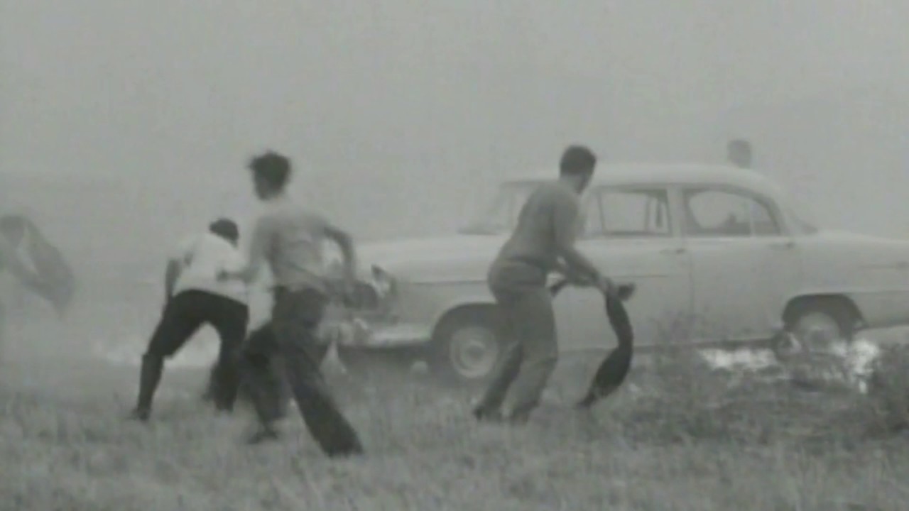'67 Bushfires - TVT6 Cameraman, Carl Weily