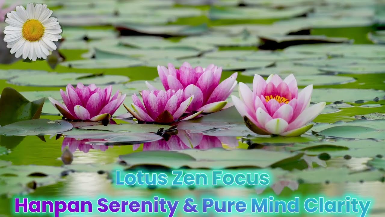 Lotus Zen Focus – Hanpan Serenity & Pure Mind