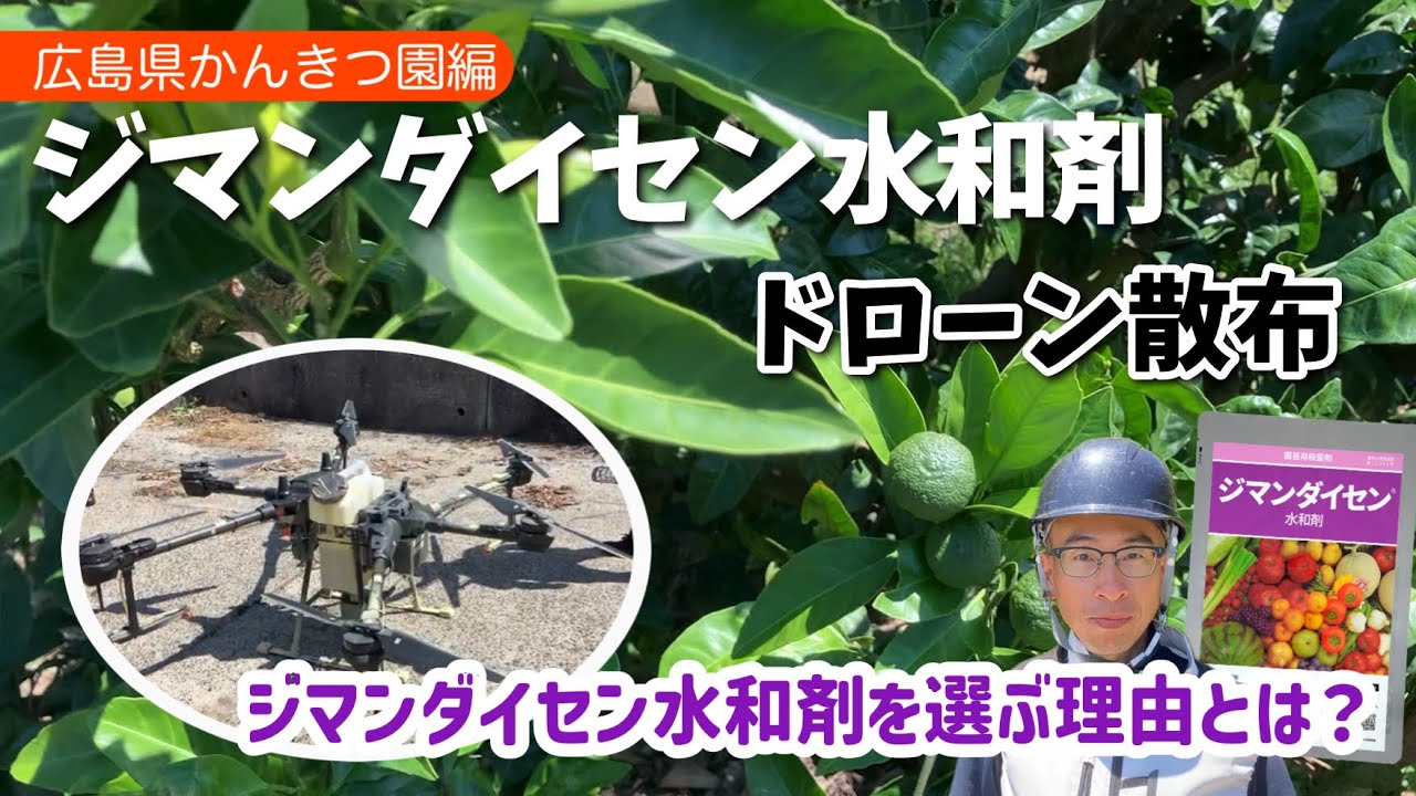 ジマンダイセン水和剤　ドローン散布「ジマンダイセンを選ぶ理由とは？」【広島県篇】
