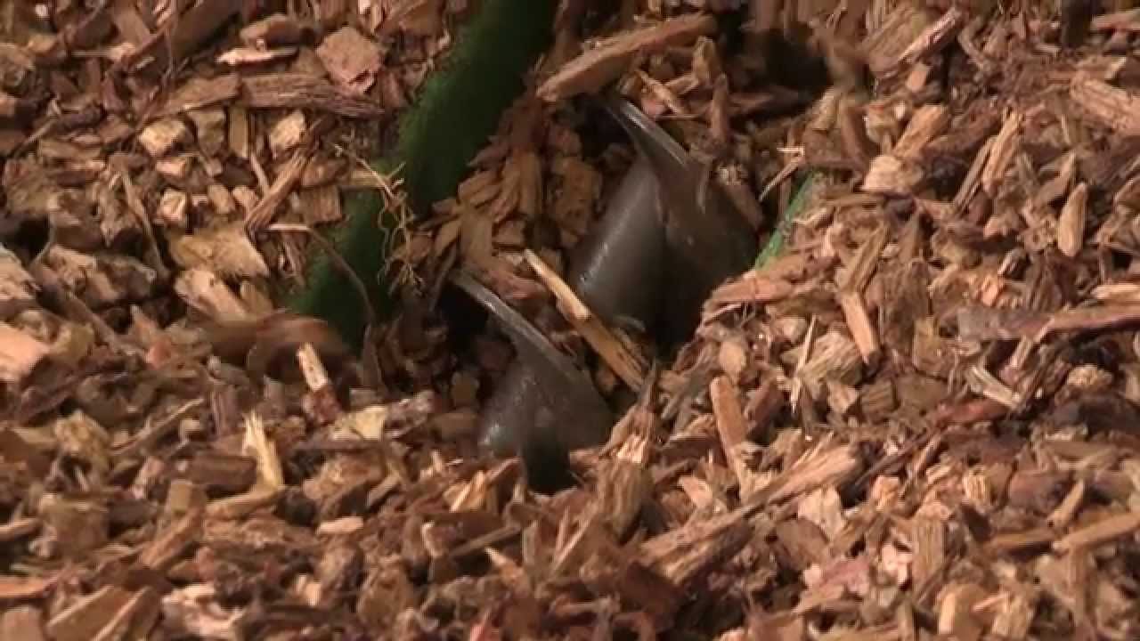 Maison du Parc du Gâtinais-Une chaufferie bois