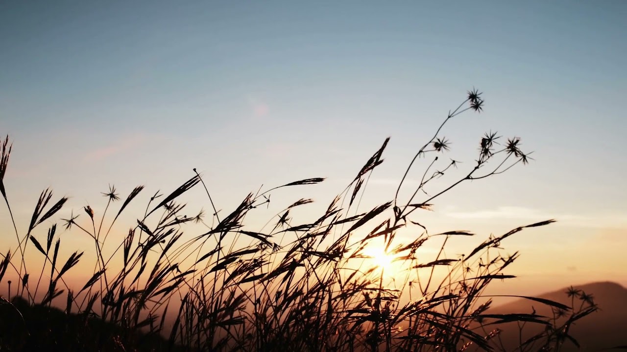 SUNRISE VIDEO BACKGROUND HD  SUNRISE BACKGROUND VIDEO NO COPYRIGHT VIDEO42