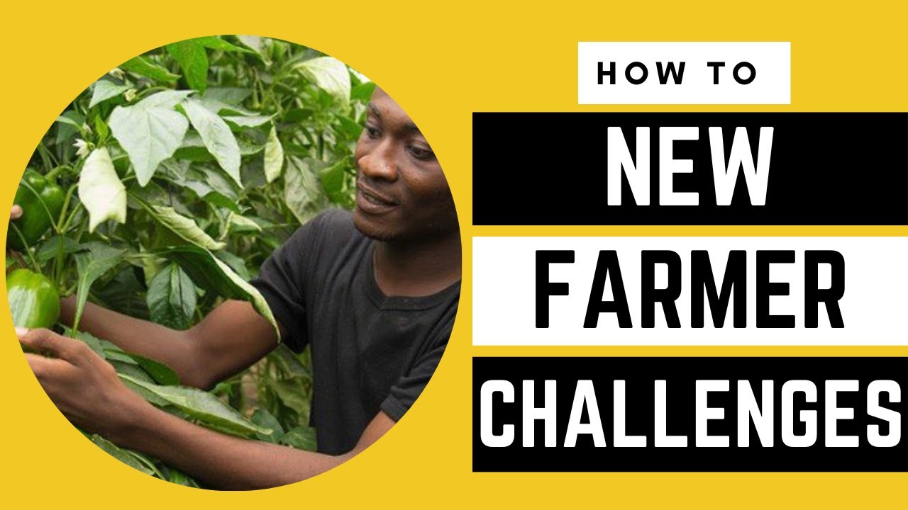 The Hard Truth: CHALLENGES Every New FARMER Must Conquer | AFRICA FARMING (HOW TO ep 11)