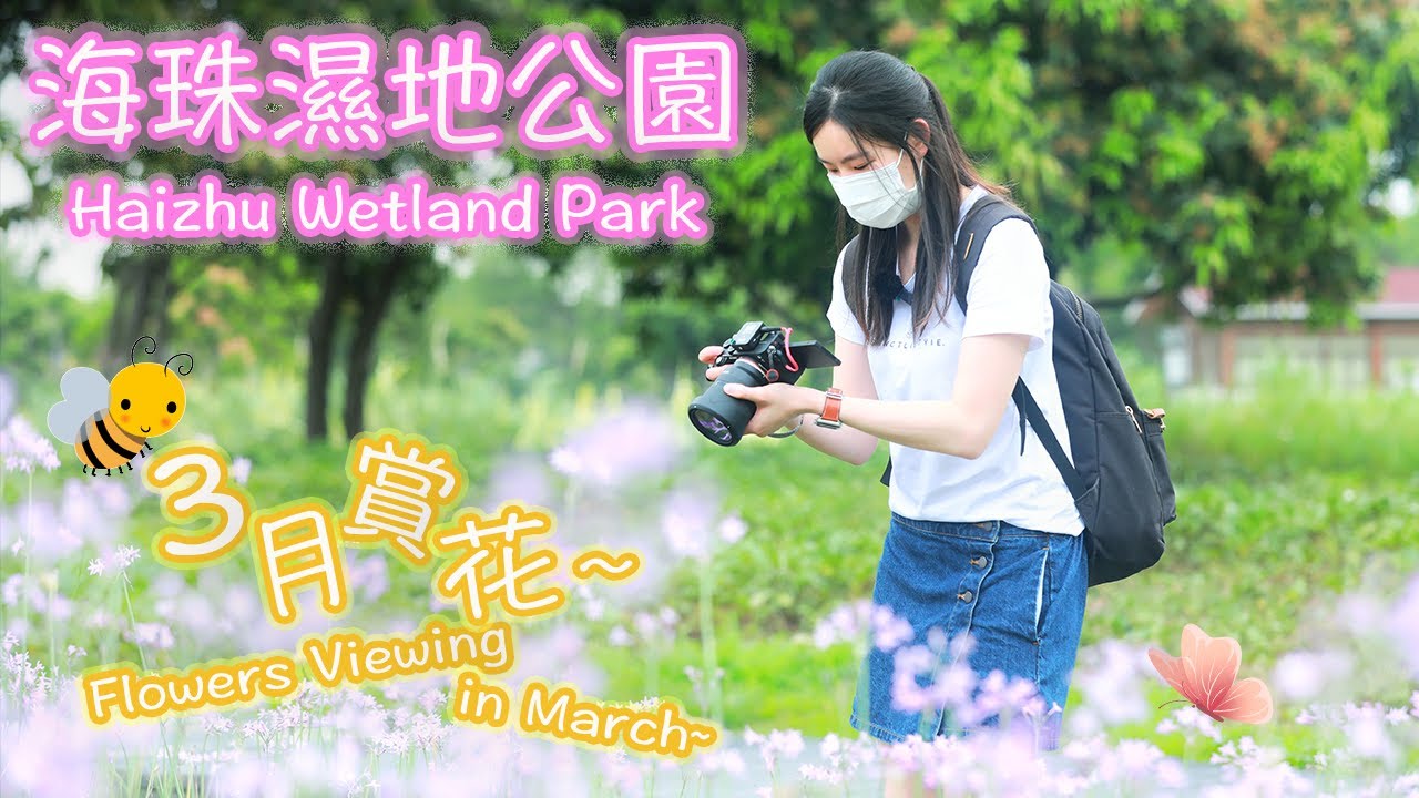 【內地VLOG】春日賞花｜四處都是花～海珠濕地公園｜黃花風鈴｜紫荊花｜KaHeiKathy | 珈羲 Kathy