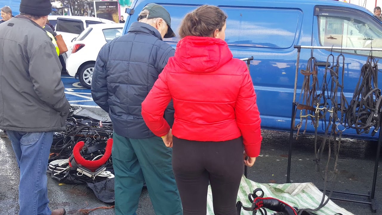 Castleisland horse fair 1st November 2018.