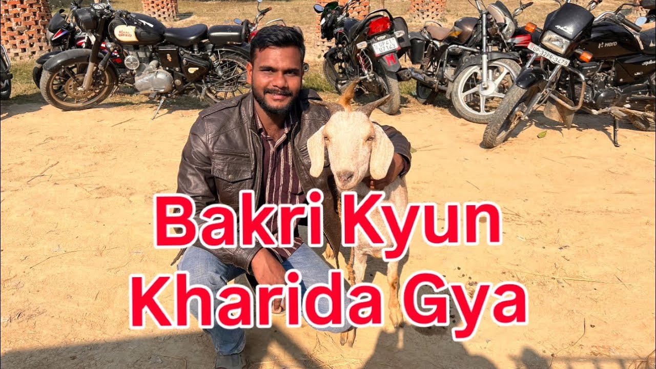 Bakri Kyun Kharida Gya 😱 || बकरी क्यों खरीदा गया || Fahad Vlogs