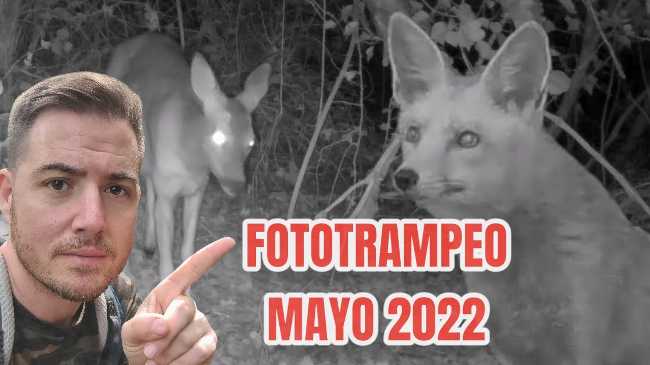 Recopilación de Fototrampeo de Mayo 2022