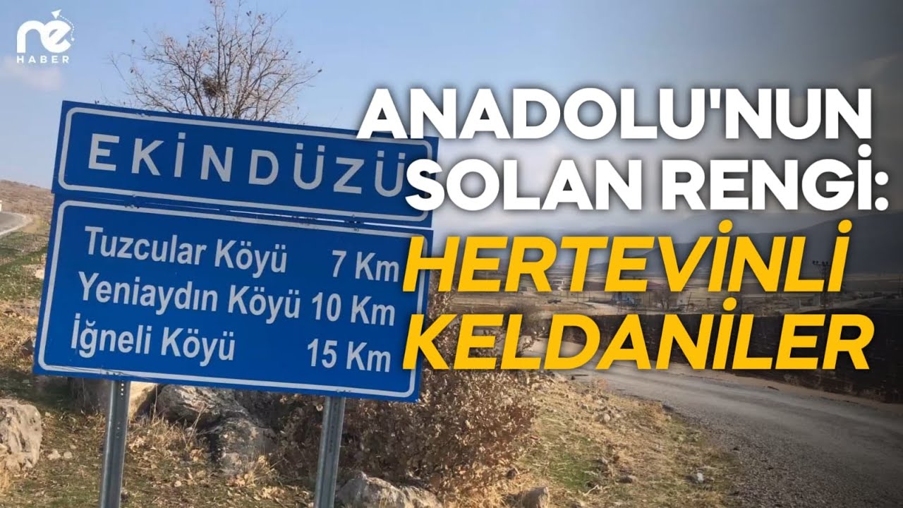 Anadolu'nun Solan Rengi: Hertevinli Keldaniler