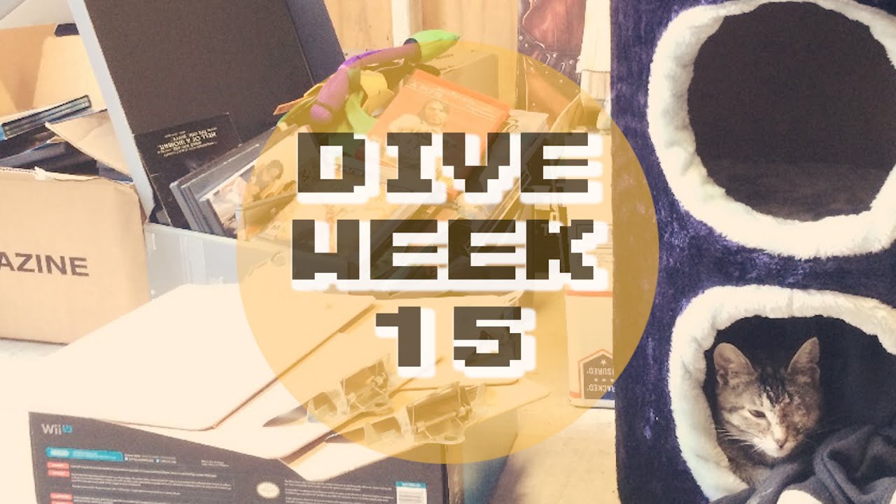 GameStop & HPB Dumpster Dive - CRAZIEST FINDS! - Week 15