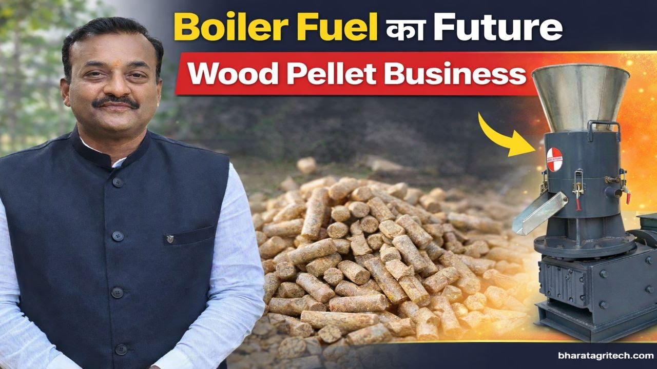 Boiler Fuel का Future | Biomass Wood Pellet Business Full Process