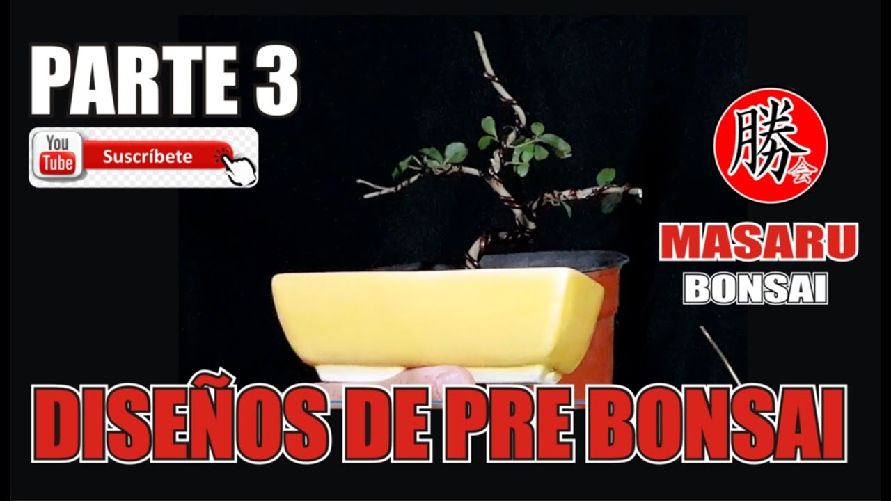 COMO DISEÑAR TU BONSAI Y UN PRE BONSAI ✔LOS PRIMEROS ALAMBRADOS EN BONSAI PARTE 3💚