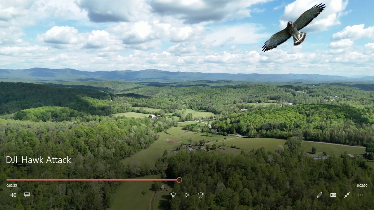 Drone Confronts Hawk