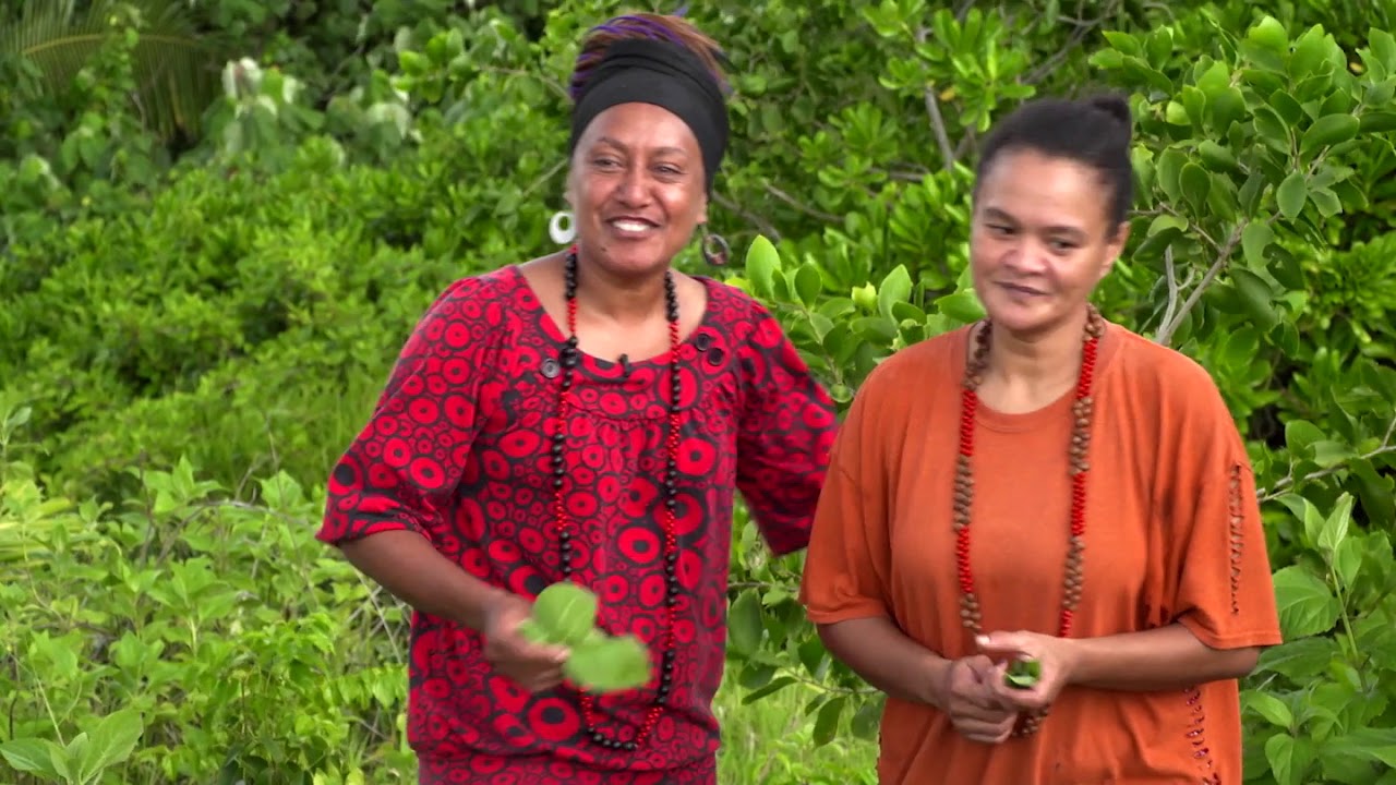 La marguerite sauvage - Les feuilles comestibles du Pacifique