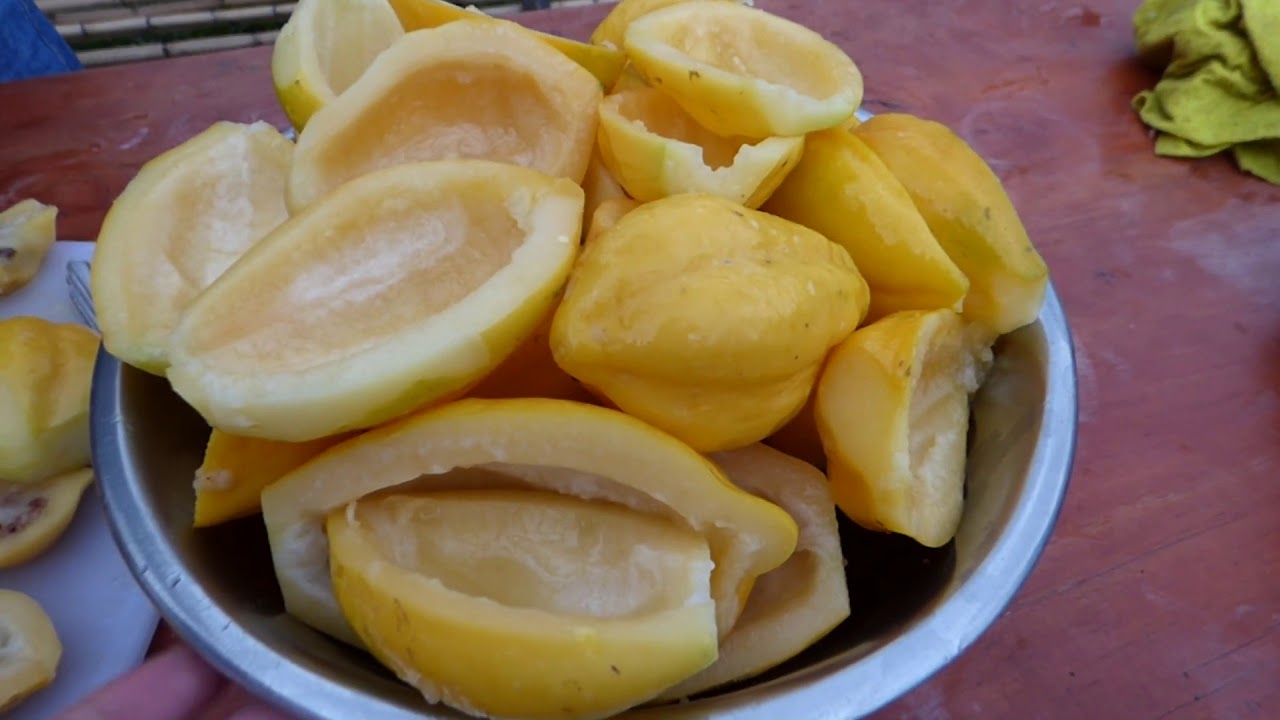 MERMELADA DE PAPAYITA NATIVA...