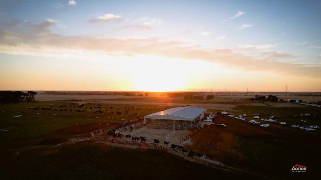 30 Years of Banquet Angus 🐮 Bull Sale Shed & Covered Cattle Yards