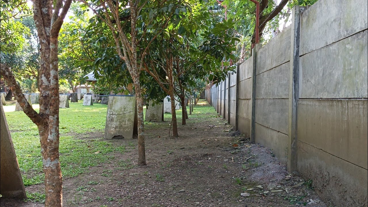 (P# 965) 6,986 sqms Farm na may resthouse sa Pagsanjan, Laguna for sale @ 25Million net price