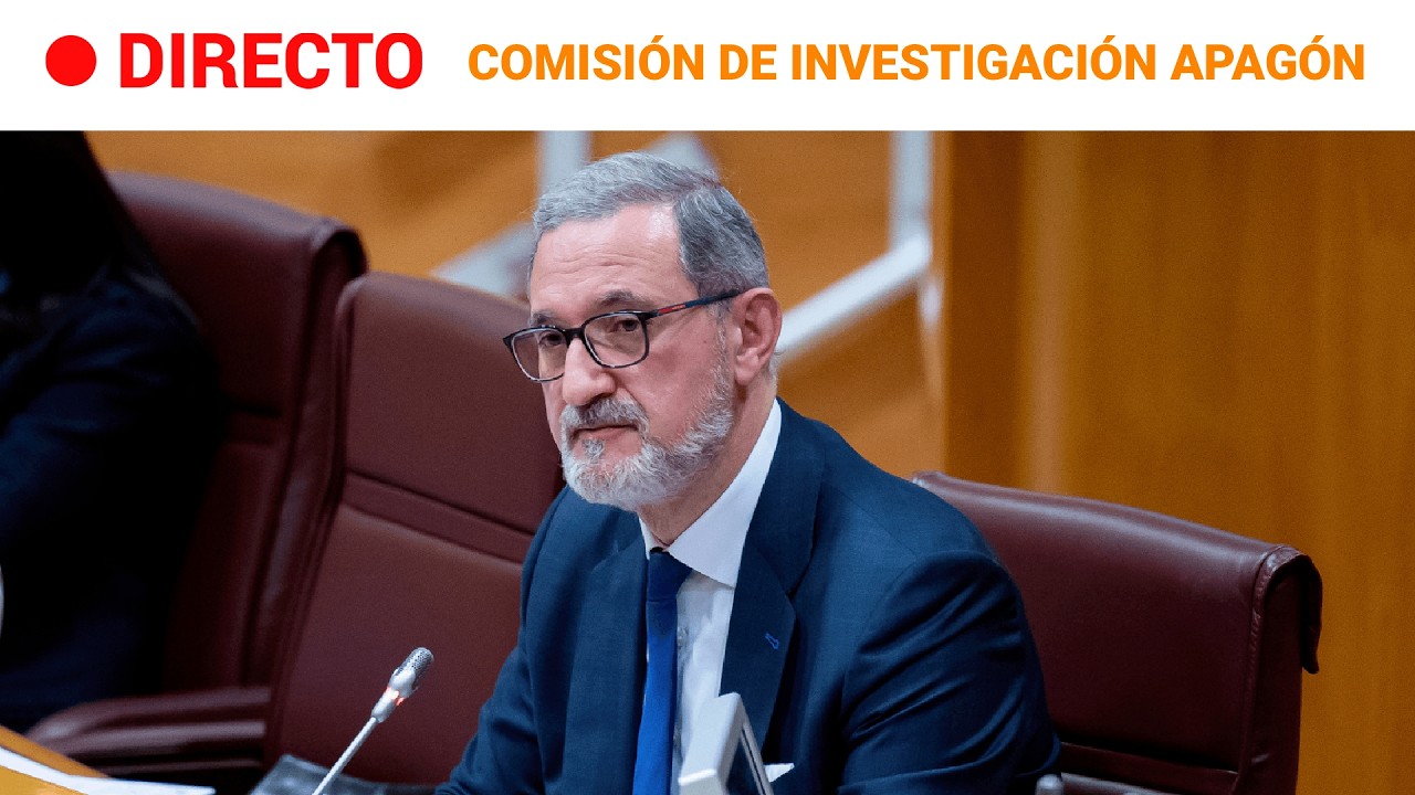 DIRECTO | APAGÓN: El director de la ASOCIACIÓN EMPRESARIAL EÓLICA (AEE) comparece en el SENADO