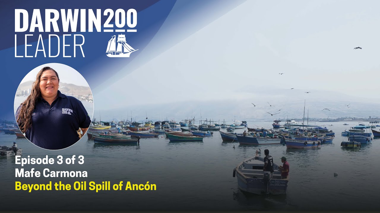 Beyond the Oil Spill of Ancón - by Mafe Carmona Episode 3