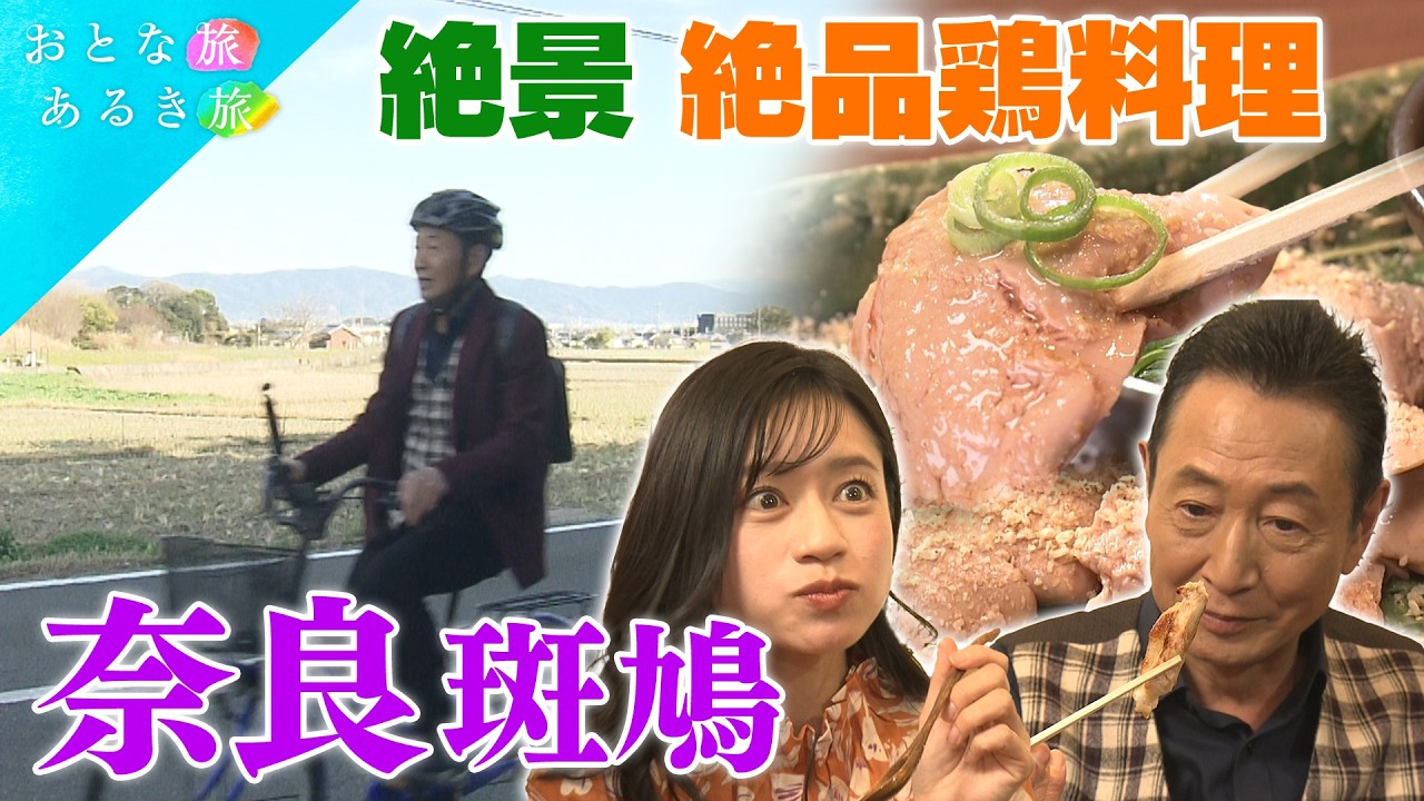 【世界遺産の町🏯奈良・斑鳩】歴史ロマン&times;美味いもん　法隆寺～大和麩～サイクリング～古墳～注染～大和肉鶏　#おとな旅あるき旅    #traveljapan     #三田村邦彦 　#斉藤雪乃