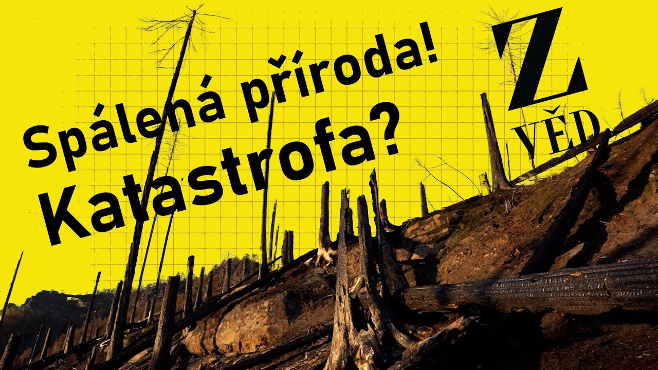 Spálená příroda! Katastrofa? | S13E02