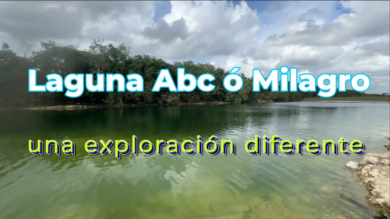 laguna abc o milagro un Cancún diferente un Tesoro escondido en medio de la selva exploración full