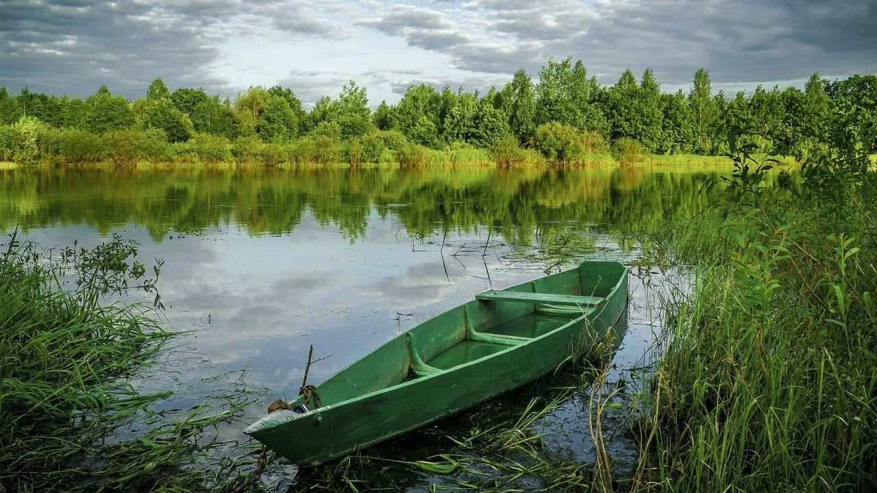 Ambiente Tranquilo de Lago | Relaxing Nature Music for Fishing