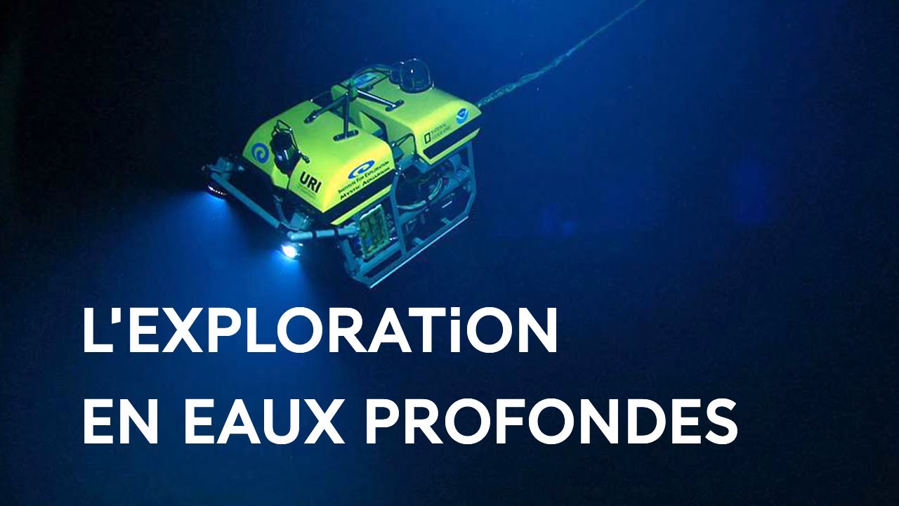 Le milieu marin profond : une exploration à peine entamée !