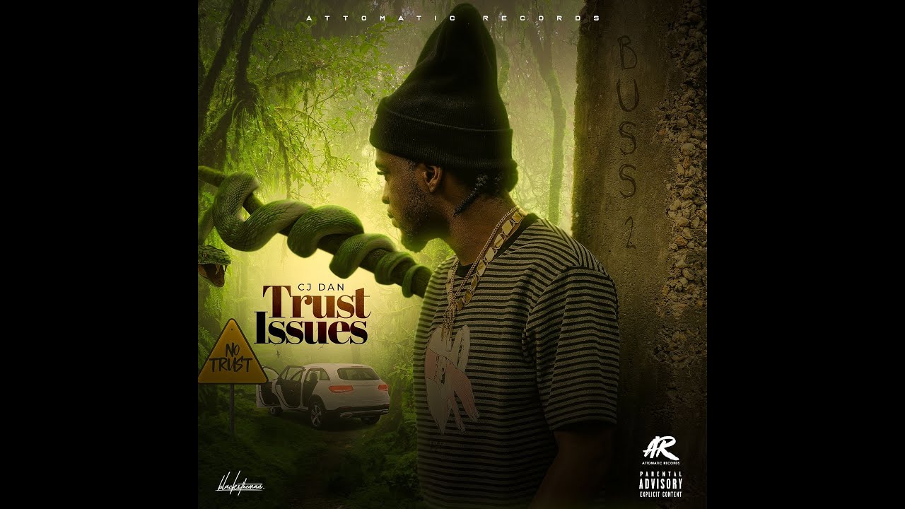Cj Dan - Trust Issues ( Official Audio )