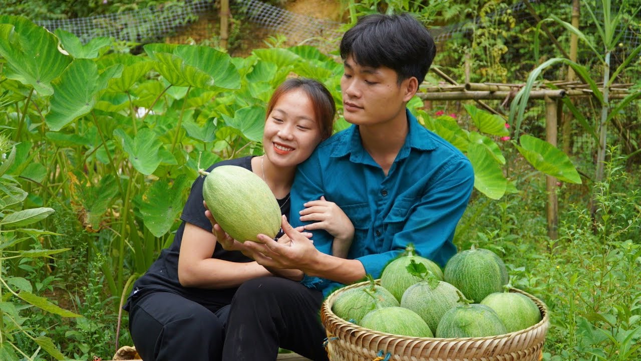 Harvesting cantaloupe, Go to the market to sell, One day living with my girlfriend