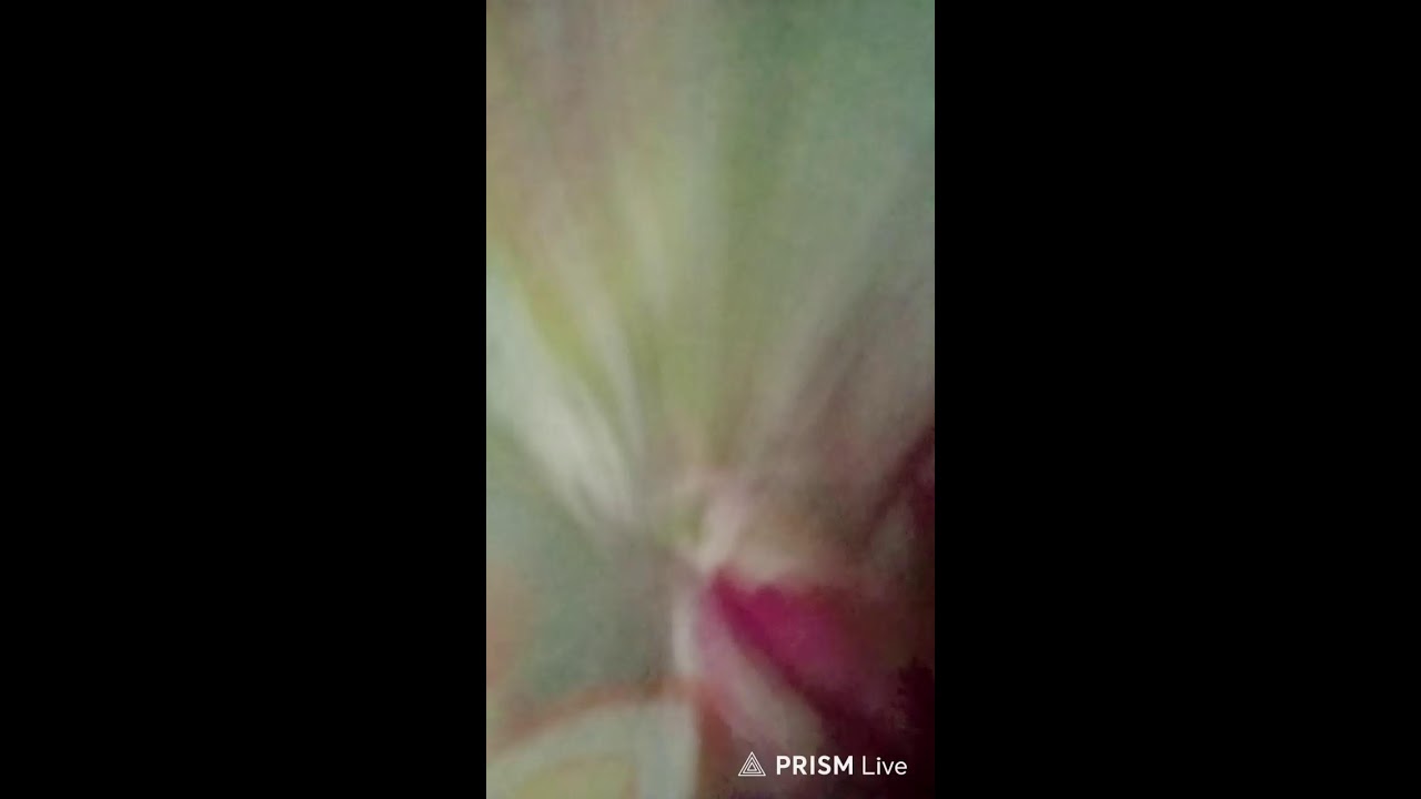 Live streaming of  Komal AI world