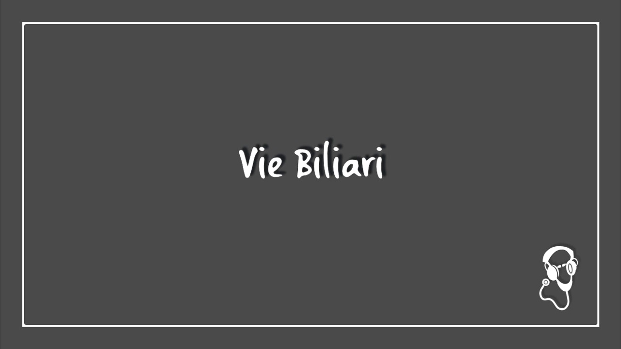 Vie Biliari