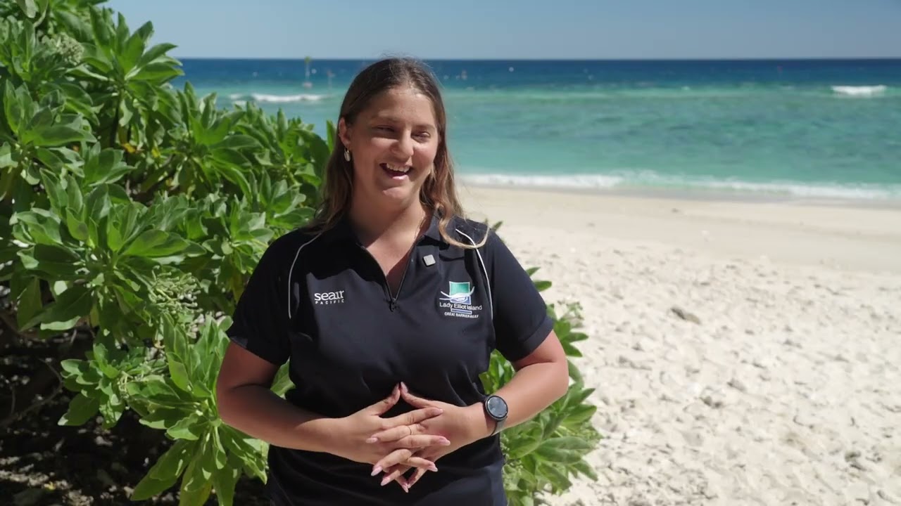 Lady Elliot Island: Leading the Way to a Plastic-Free Great Barrier Reef #sustainability
