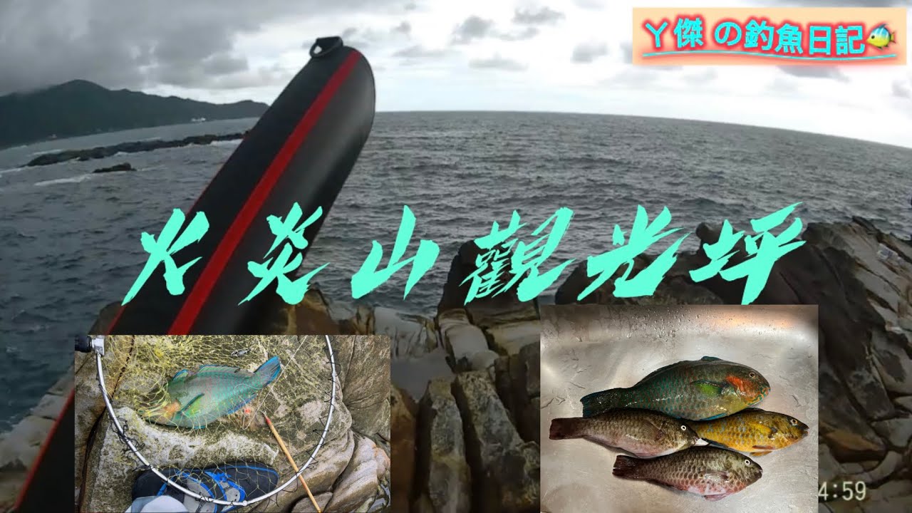 火炎山觀光坪 釣況分享 黃色戰餌的魅力 #海 #fishing #釣魚 #釣り #鸚哥魚
