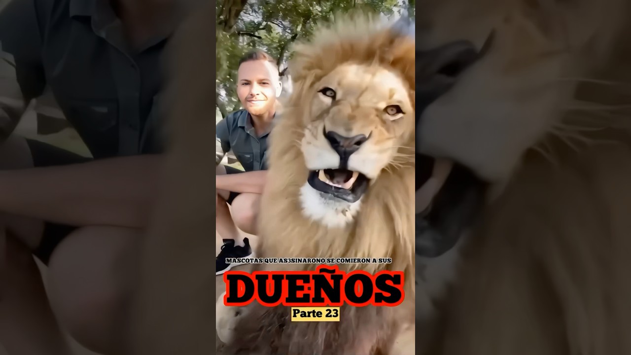 Mascotas que As3sinaron o se comieron a sus due&ntilde;os | Parte 23