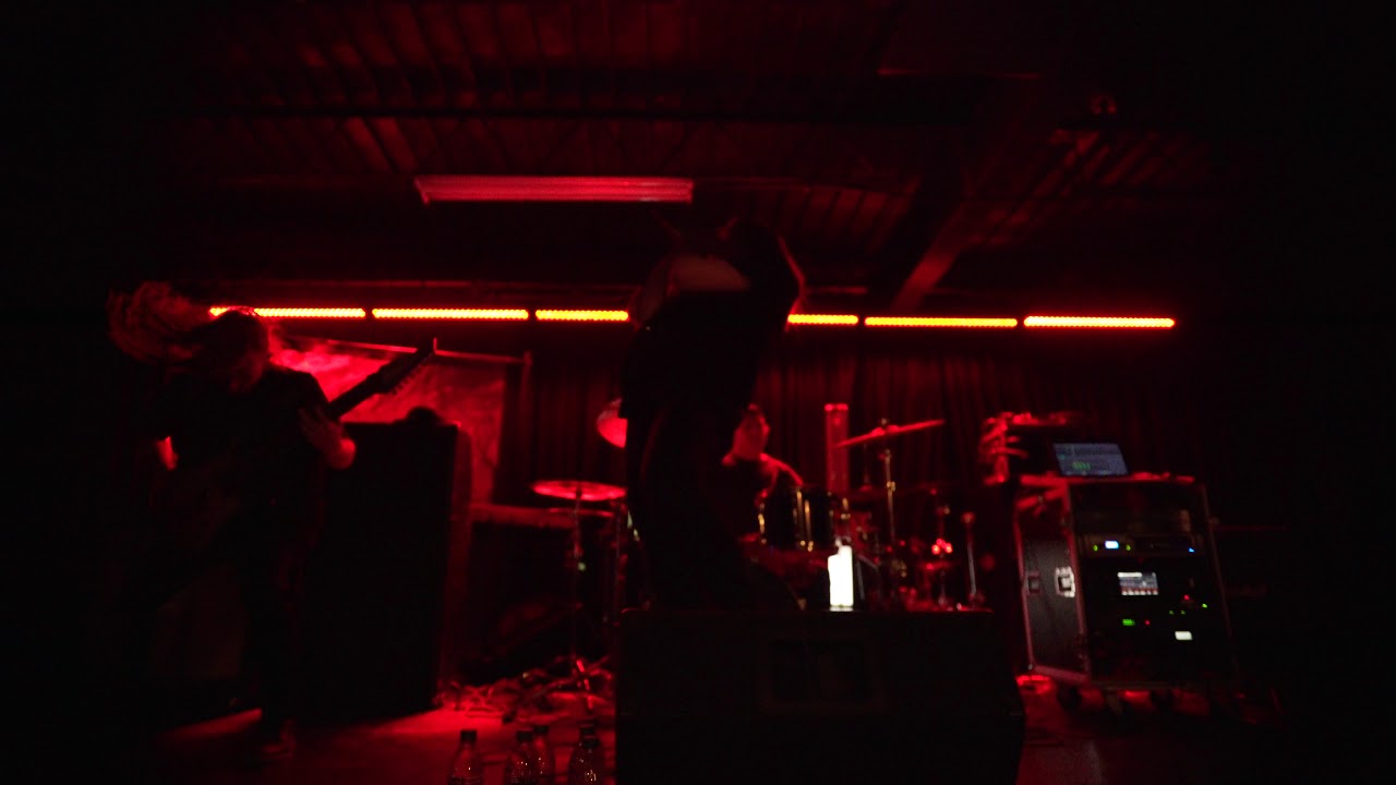 All Have Sinned - Hope (Live Video)