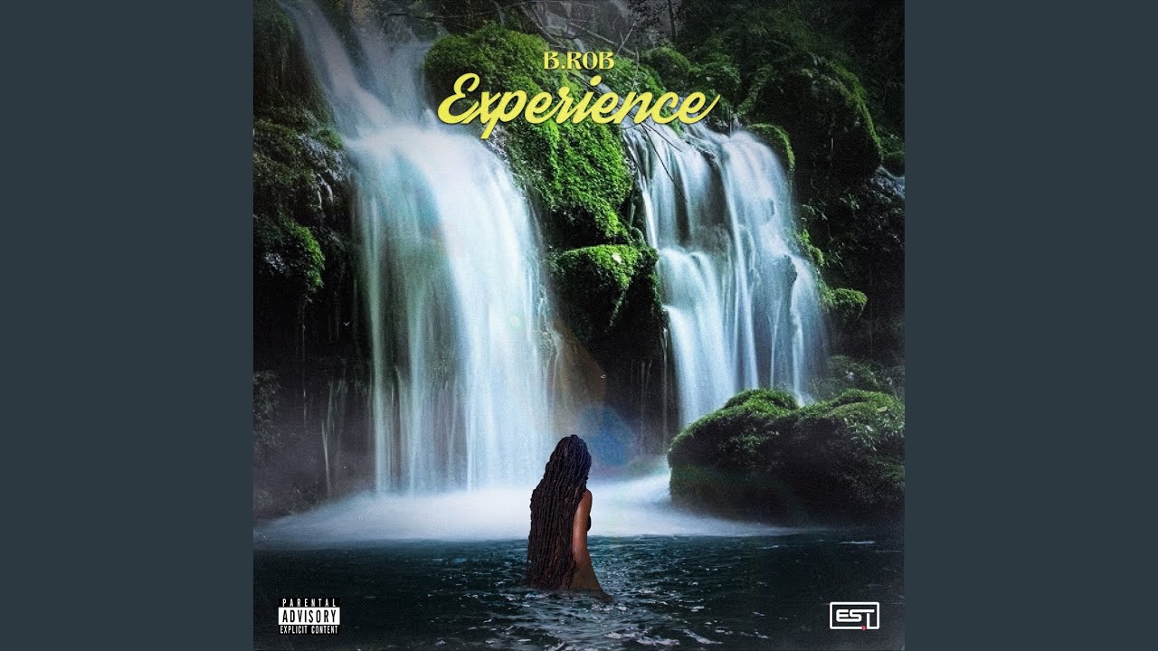 Experience