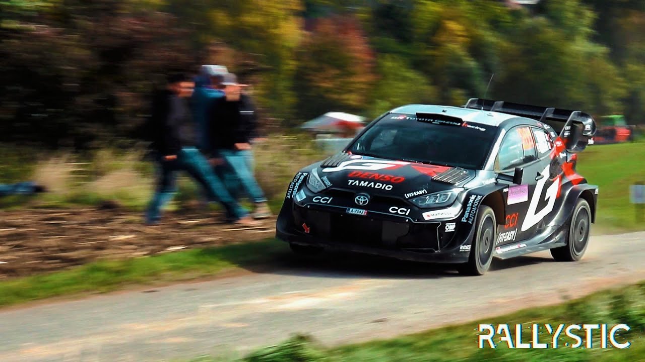Herbstrallye Dobersberg 2025 | WRC`s | Mistakes | Tricky Corners | Best of