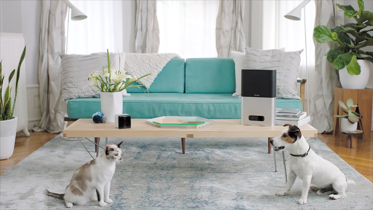 Petcube Bites + Petcube Play: Treat & Care for Pets Remotely