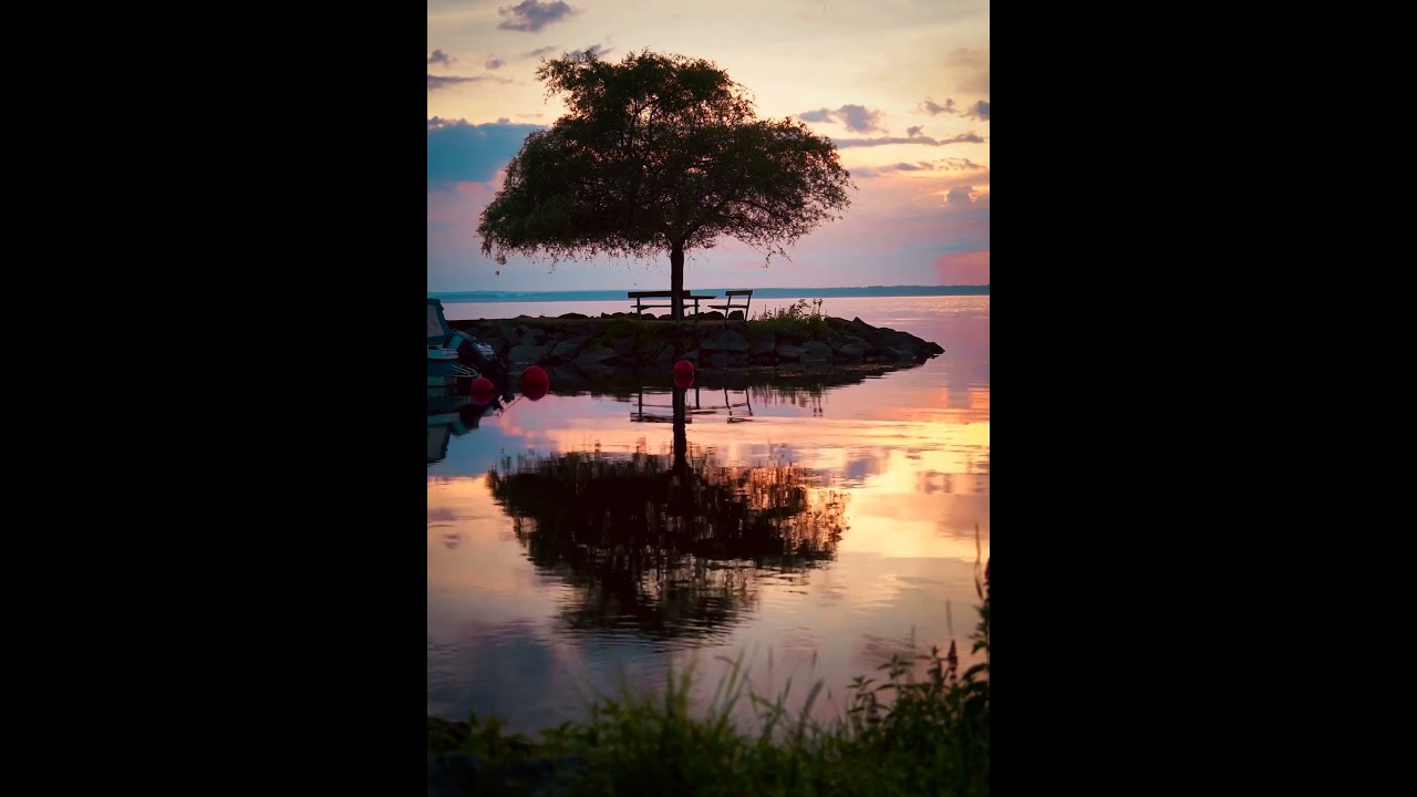 Take a break from scrolling for 1 minute and relax with Soothing Relaxation 💚 
