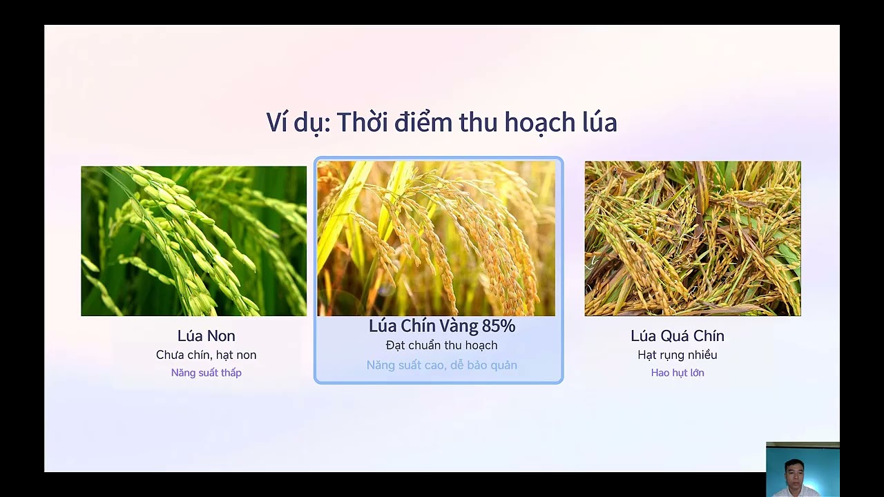 KHOI 7 CONG NGHE BÀI 4 THU HOACH SAN PHAM TRONG TROT HOANG VAN DUY