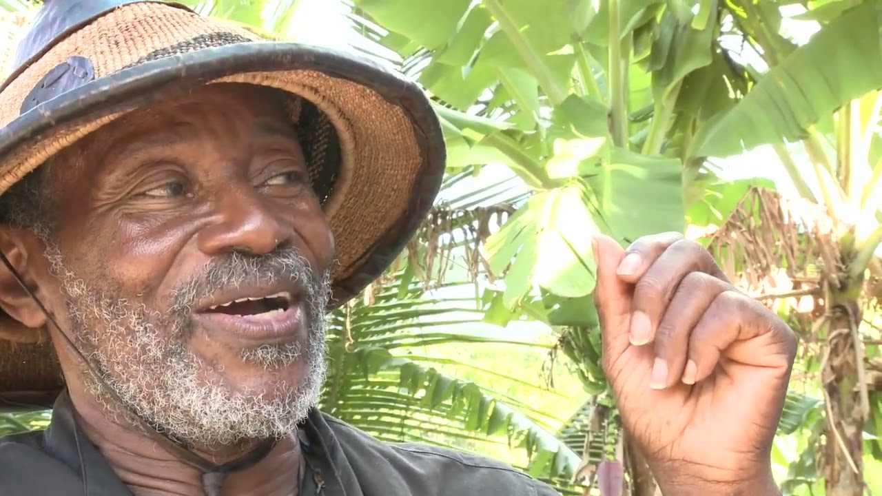 Carriacou Big Drum Documentary
