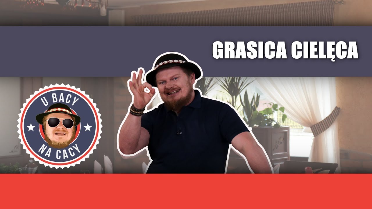 U Bacy na Cacy: Tego jeszcze na pewno nie jedliście! Grasica cielęca ląduje na talerzu