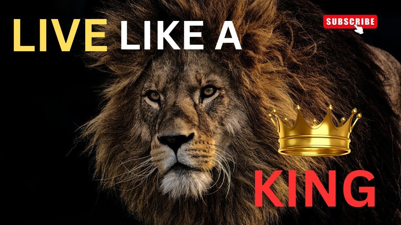 Live Like a Lion 🔥 | Lion Mentality | Best Motivational Speech Ever