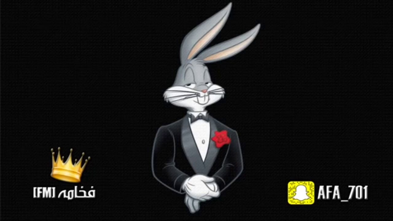 -(ريمكس لحن سنوب دوق)-