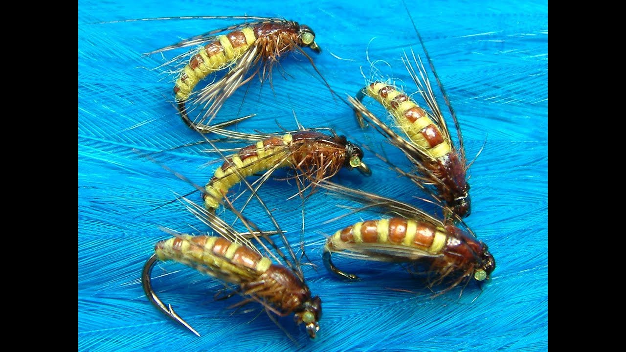 Tying the McPhail Caddis Pupa by Davie McPhail.