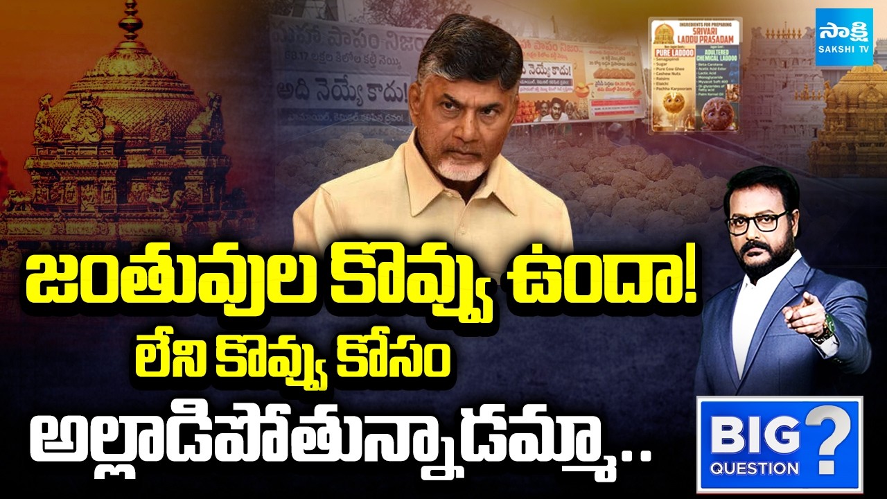Animal Fat In Tirumala Laddu | Why Chandrababu Silent CBI Report | Big Question | @SakshiTV