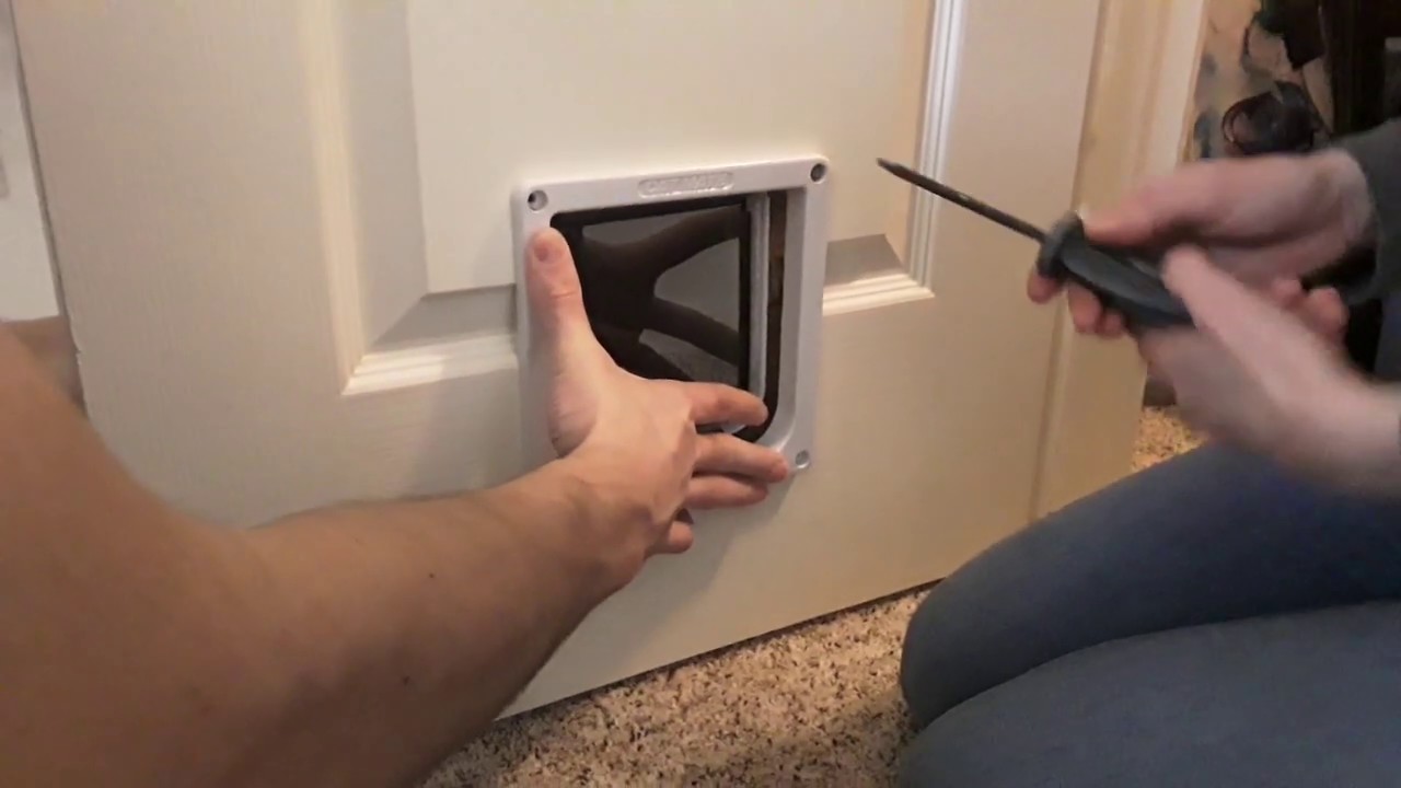 How to Install a Cat Door