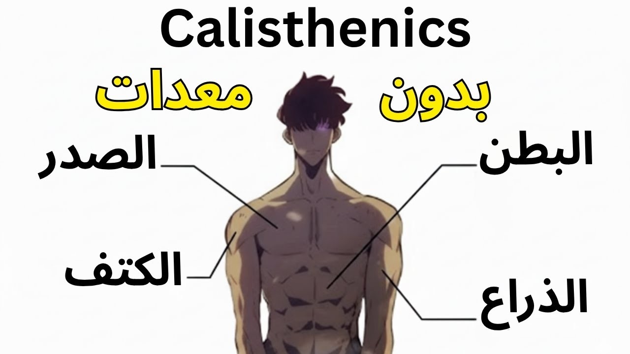 كل ما تحتاجه لبناء جسم جمالي... من المنزل!🏠