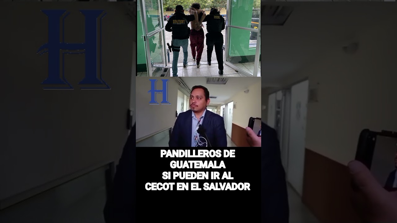Pandilleros de Guatemala podrían ir al CECOT en El Salvador #elheraldogt #guatemala 